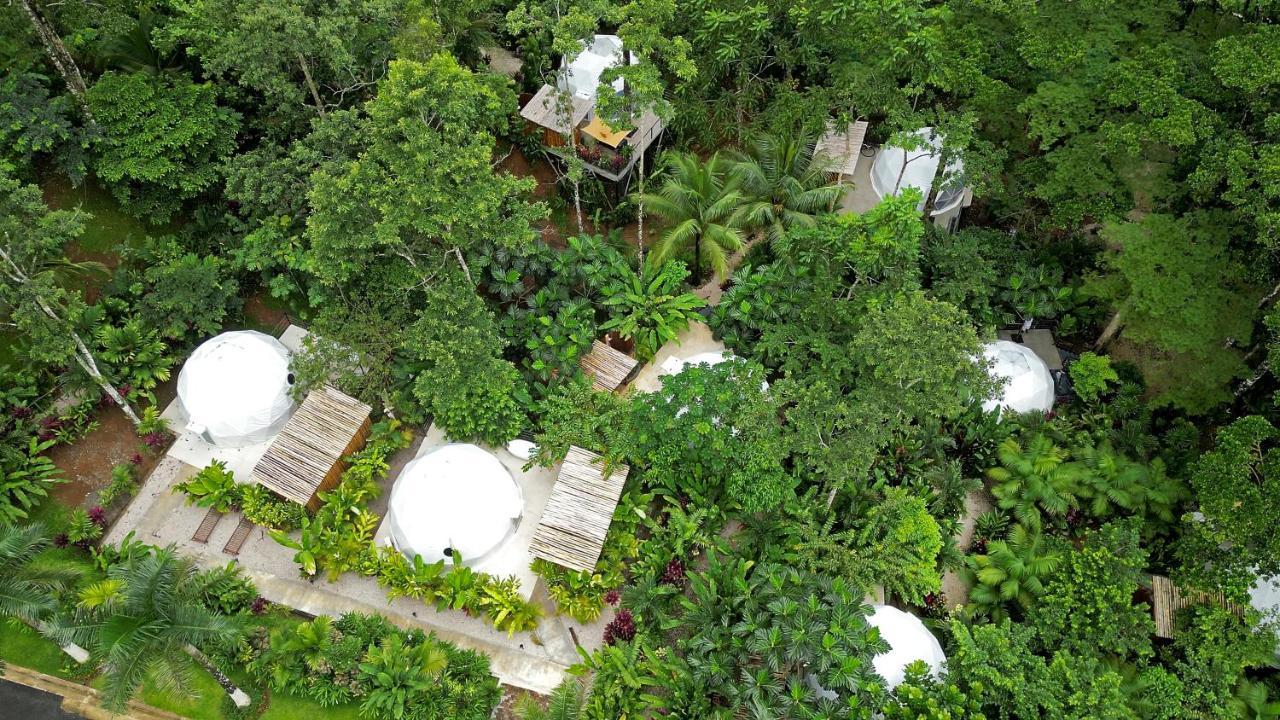 Palo Alto Glamping Hotel Ciudad Quesada Exterior foto