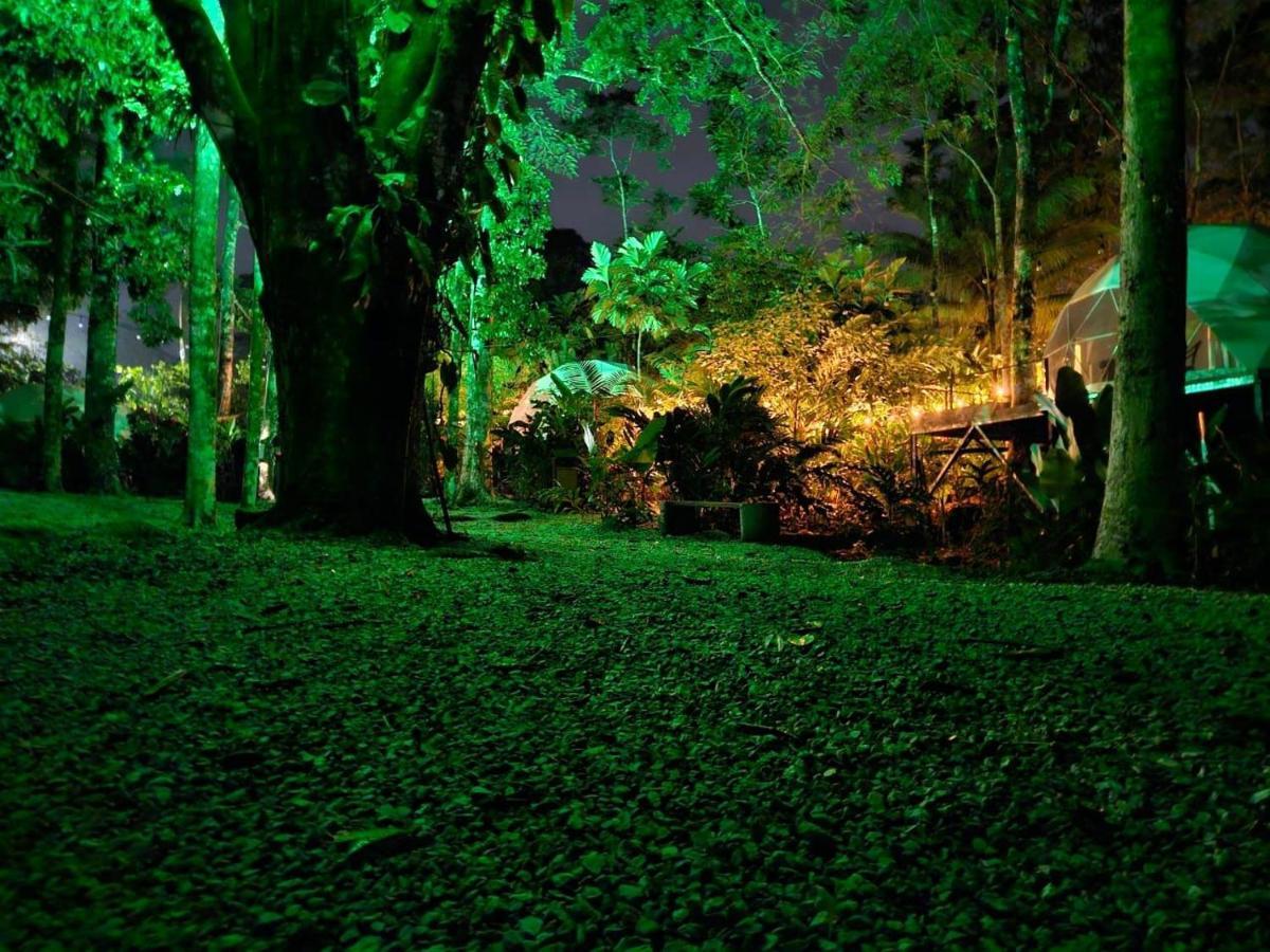 Palo Alto Glamping Hotel Ciudad Quesada Exterior foto